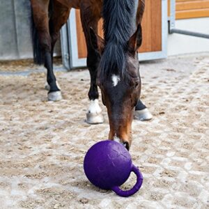 Injoyo 28cm Equine Sports Rubber Jolly Ball Scented Horse Play Toy with Handle - Purple