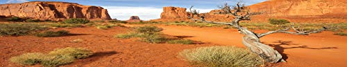 Reptile Habitat Background; Monument Valley with Tree, for 48Lx18Wx18H Terrarium, 3-Sided Wraparound