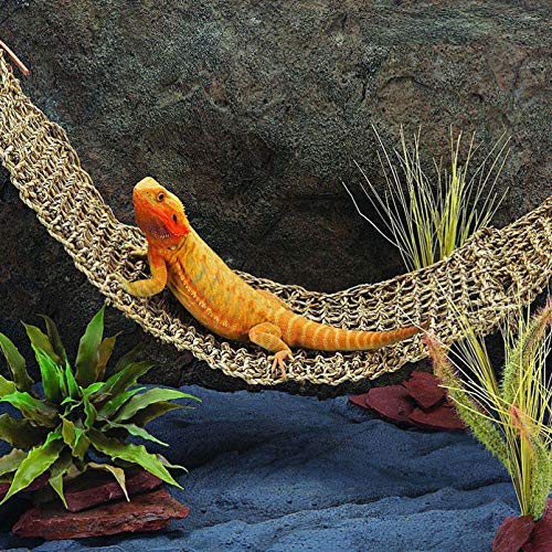 balacoo Bearded Dradon Hammock Natural Seagrass Fibers Reptile Lounger,Terrarium Tank Decoration Climber Vines for Anoles,Geckos,Iguanas and Hermit Crabs