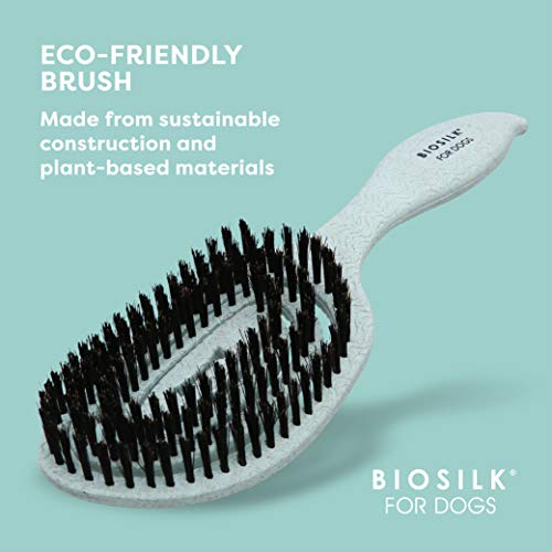 BioSilk for Dogs Eco-Friendly Boar Hair Bristle Brush in Mint Green | Easy to Hold Ergonomic Handle Dog Brush for Shedding | Best Pet Brush for Dog Grooming