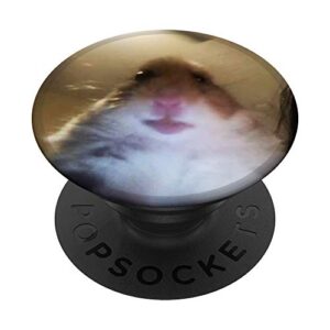 staring hamster popsockets popgrip: swappable grip for phones & tablets
