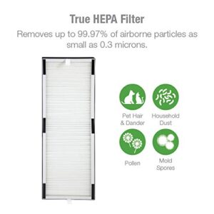 Hunter HP600 Tall Tower Air Purifier Features Energy Star Certification True HEPA Filter, Multiple Fan Speeds, Soft Touch Digital Control Panel, Sleep Mode, Timer, Accent Light, Graphite