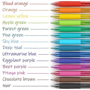 ARTEZA Colored Gel Pens, Pack of 14, Unique Vibrant Colors, Fine 0.7 mm Tip, Retractable, Art Supplies for Journaling, Drawing, Doodling, and Notetaking