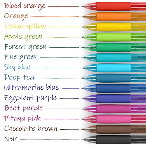 ARTEZA Colored Gel Pens, Pack of 14, Unique Vibrant Colors, Fine 0.7 mm Tip, Retractable, Art Supplies for Journaling, Drawing, Doodling, and Notetaking