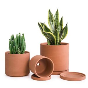 d'vine dev terracotta pots for plants, 4.2 inch 5.3 inch 6.5 inch, succulent planter pot with drainage and saucer, 40-a-t-1