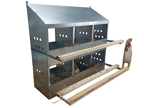 6 Hole Heavy Duty 23ga Galvanized Chicken Nesting Laying Roost Box Made in USA | High Front and Back Panels | Easy to Remove and Clean | Heavy Duty perches hinged Upward | Rust Resistant 0300112