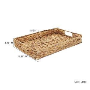 Grass Weaving Tray, Grass Storage Bins for Fruit or Tea,Arts and Crafts. (1) (Tray-A-M)