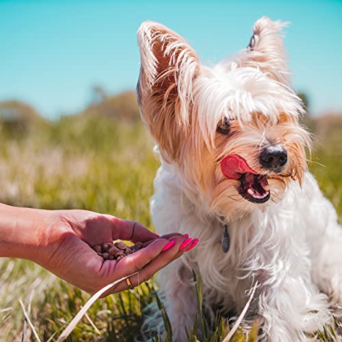 Pupford Freeze Dried Dog Training Treats, 475+ for Puppy , Low Calorie, Vet Approved, All Natural, Healthy for Small to Large Dogs (Chicken)