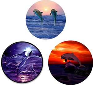 (3 pack) cell phone holder dolphin sunrise ocean wave sunset expanding grip stand finger kickstand for smartphone and tablets