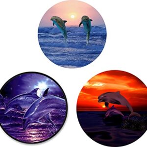 (3 Pack) Cell Phone Holder Dolphin Sunrise Ocean Wave Sunset Expanding Grip Stand Finger Kickstand for Smartphone and Tablets