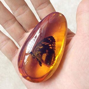 garneck crystal amber fossil with insects, inside specimens samples stones oval pendant collection home decorations education gift (random pattern)