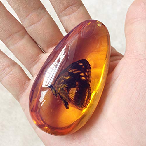 Garneck Crystal Amber Fossil with Insects, Inside Specimens Samples Stones Oval Pendant Collection Home Decorations Education Gift (Random Pattern)