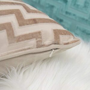 Homey COZY 65180-Jasmine Accent Pillow, Single, Tan