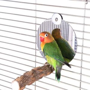bird mirror with perch,5.1 inch stainless steel parrot mirror toys for greys amazons parakeet cockatiel conure lovebirds finch canaries (5inch with perch)