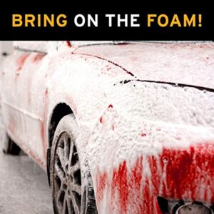 Ethos Foam Party - Concentrated pH Neutral Car Wash Soap - Snow Foam Suds Car Wash Soap - Foam Cannon Soap - Safe For Waxes, Sealants & Coatings (16 OZ)