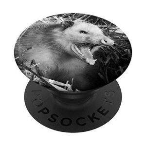 opossum possum animal happy screaming cute wild animal popsockets popgrip: swappable grip for phones & tablets