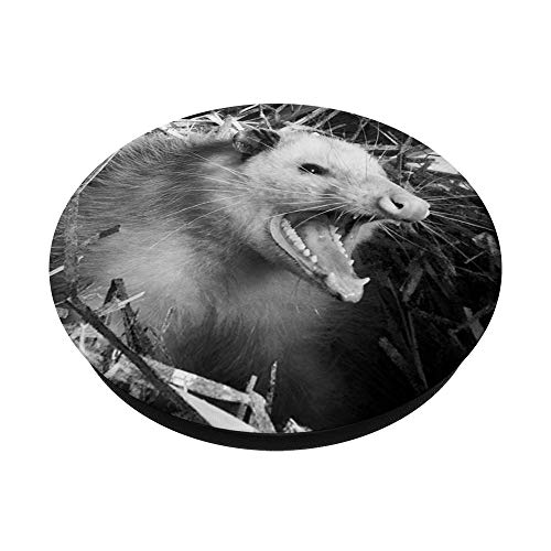 Opossum Possum Animal Happy Screaming Cute Wild Animal PopSockets PopGrip: Swappable Grip for Phones & Tablets