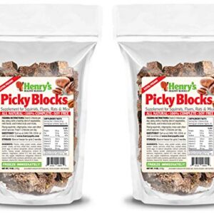 Henry's Picky Blocks - Nutritionally Complete Rodent Blocks – Food for Squirrels, Flying Squirrels, and Chipmunks, 11 Ounces (2-Pack)