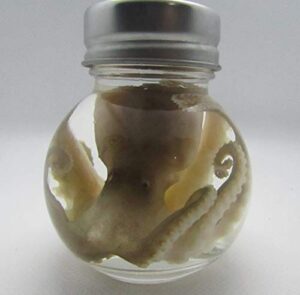 wet specimen taxidermy octopus kraken oddities ball jar preserved specimen