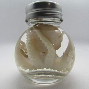 Wet Specimen Taxidermy Octopus Kraken Oddities Ball jar Preserved Specimen