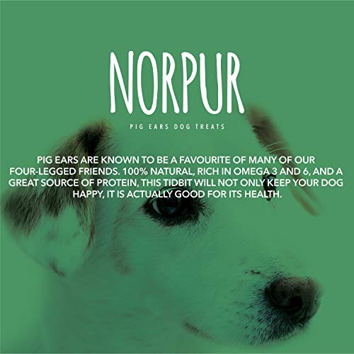 Norpur Pig Ears Dog Treats (100-Pack) Natural, Healthy Training Snack | Meaty Protein, Oven-Baked Flavor | Promote Dental Health | Made in Canada