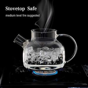 CnGlass Glass Teapot Stovetop Safe,30.4oz Clear Teapots with Removable Filter Spout,Teapot for Loose Leaf and Blooming Tea