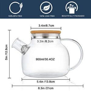 CnGlass Glass Teapot Stovetop Safe,30.4oz Clear Teapots with Removable Filter Spout,Teapot for Loose Leaf and Blooming Tea