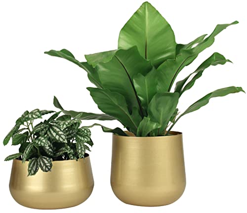 Vixdonos Gold Metal Flower Pots Brass-Toned Garden Planters, 7.1/6.3 Inch Indoor Round Succulent Containers, Pack 2 Cactus Plant Pots with Drainage Hole