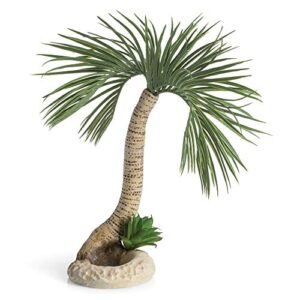 biorb seychelles palm tree sculpture, large, natural (72680)