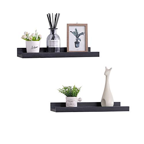 PENGKE Floating Wall Shelves Set of 2,Wall Mounted Floating Shelves Ledge 16 Inch Long, Picture Shelving Ledge with Storage, Modern Design for Home Decor