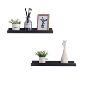 PENGKE Floating Wall Shelves Set of 2,Wall Mounted Floating Shelves Ledge 16 Inch Long, Picture Shelving Ledge with Storage, Modern Design for Home Decor