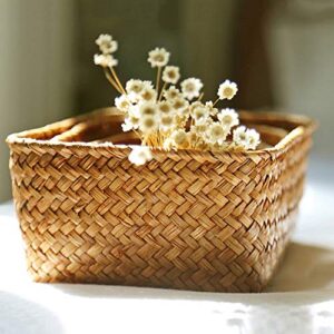 QuyWin Portable Storage Supplies Home Dedicated Storage Handmade Straw Dried Flower Fruit Pot Basket Rattan Box Candy Earphone Organizer for Home Coffee Big