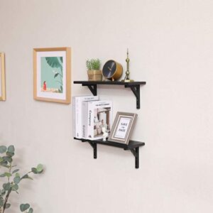 PENGKE Wall Mounted Floating Shelves, Set of 2, Display Ledge, Storage Rack for Room/Kitchen/Office - Retro Brown