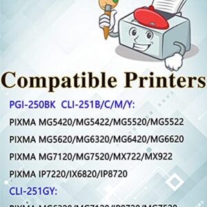 MM MUCH & MORE Compatible Ink Cartridge Replacement for Canon PGI 250XL CLI 251XL PGI-250XL CLI-251XL use for PIixma MG5620 MG7120 MX922 MG6320 MG6420 (Large BK, Small BK, Cyan, Magenta, Yellow, Gray)