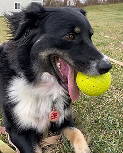 Chew King Supreme Rubber Fetch Balls - Extremely Durable Natural Rubber Toy, 2.5 inch, Yellow (CM-10066-CS01), 2.5" (Medium)