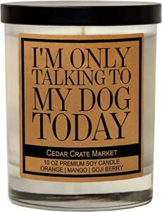 funny dog candles gifts for women, men, dog lovers, pet candle for home, house, dog mom gifts, pet mom, fur mamas, dog dads, foster, rescue, adoption pet families (i'm only talking to my dog today)