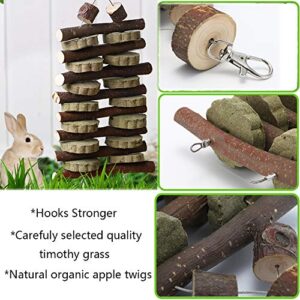 Hamiledy Bunny Chew Toy for Teeth,Guinea Pig Natural Organic Fruitwood Sticks with Grass Cake for Rabbits,Chinchillas,Gerbils, Squirrels, Hamsters, Chewing/Playing Pet Snacks Toy/Improve Dental Health