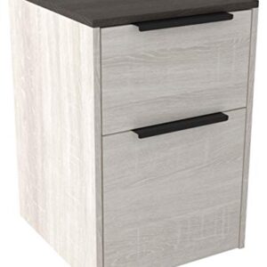 Signature Design by Ashley Dorrinson Modern Farmhouse Filing Cabinet with 2 Drawers, Whitewash & Brown