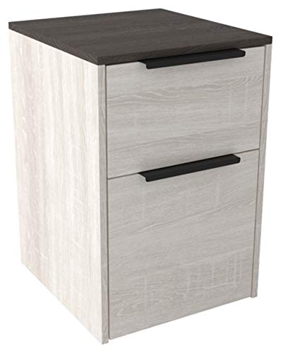 Signature Design by Ashley Dorrinson Modern Farmhouse Filing Cabinet with 2 Drawers, Whitewash & Brown