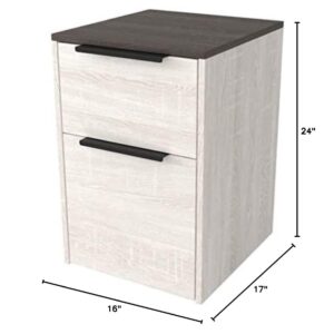 Signature Design by Ashley Dorrinson Modern Farmhouse Filing Cabinet with 2 Drawers, Whitewash & Brown