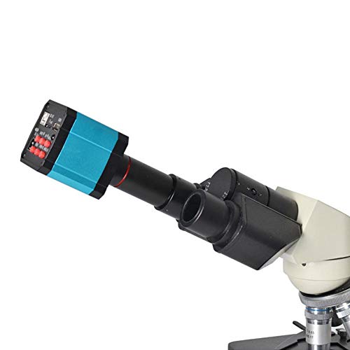 37MP 1080P 60FPSUSB Microscope Camera Video Industry MicroscopeCamera with Conversion Adapter, 100-240V Microscope Digital Camera C Mount Microscope Camera (US Plug)