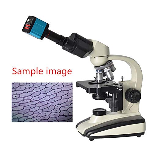 37MP 1080P 60FPSUSB Microscope Camera Video Industry MicroscopeCamera with Conversion Adapter, 100-240V Microscope Digital Camera C Mount Microscope Camera (US Plug)