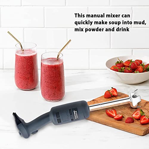 Li Bai 20 in Heavy Duty Immersion Blender Handheld Kitchen, Hand Blenders for Kitchen, Commercial Mixer Electric, 750W Detachable Shaft Adjustable Variable Speed, Emulsifier Blender Handheld