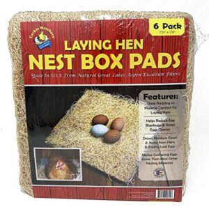 Cackle Hatchery Laying Hen Nest Box Pads - 13" x 13" (6 Pack)