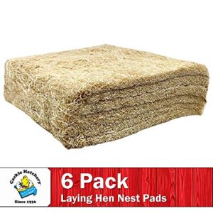 Cackle Hatchery Laying Hen Nest Box Pads - 13" x 13" (6 Pack)