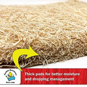 Cackle Hatchery Laying Hen Nest Box Pads - 13" x 13" (6 Pack)