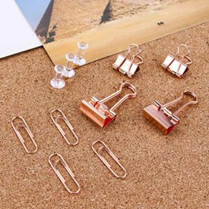 Push Pins Binder Clips Paperclips Sets for Office, School and Home Supplies, Desk Organized, 72 Pcs Assorted Sizes (Rose Gold)