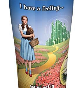 Tervis THE WIZARD OF OZ Triple Walled Insulated Tumbler, 1 Count (Pack of 1), We're Not in Kansas Anymore