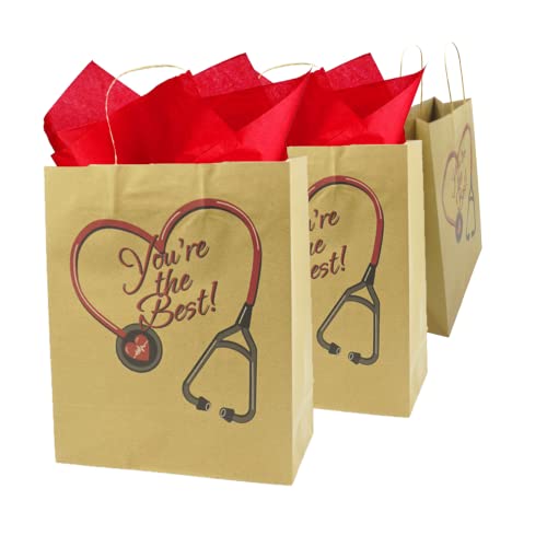 4E's Novelty Nurse Gift Bags (12 Pack) Large 12" Kraft Paper Bag Bulk - National Nurse Appreciation Day. For Doctors Healthcare Hospital Worker Party Favors Goody Bag