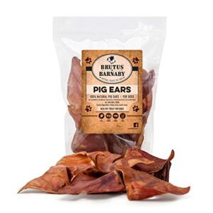 100% natural whole pig ear dog treat - 12 pack - our healthy dog pig ears are easy to digest, chemical & hormone free thick cut pig ears for dogs aggressive chewers, great for small or large dogs